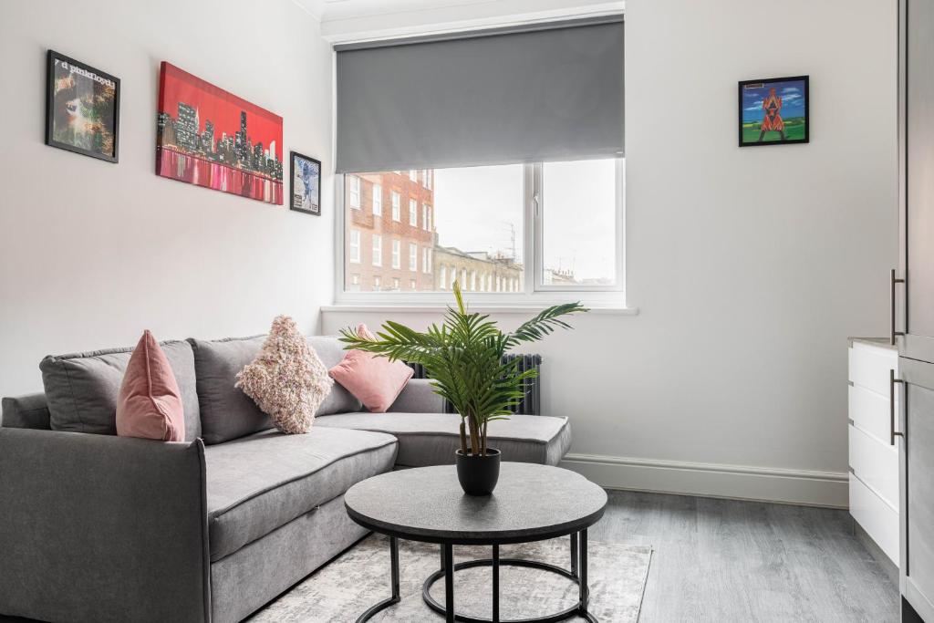 a living room with a couch and a table at Edgware road apartments in London