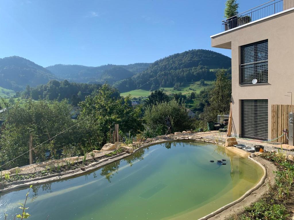 een grote plas water voor een gebouw bij Chez Svanette B&B Villa Sonnglück in Zullwil