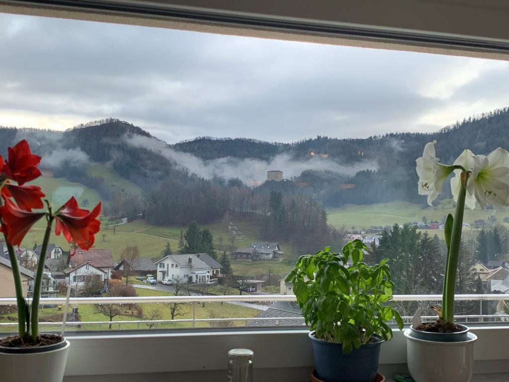 Nespecifikovaný výhled na hory nebo výhled na hory při pohledu z bed and breakfast