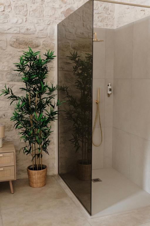 Aurluna Luxury Suites - 13