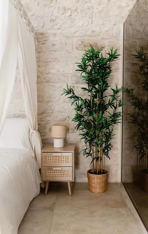 Aurluna Luxury Suites - 14