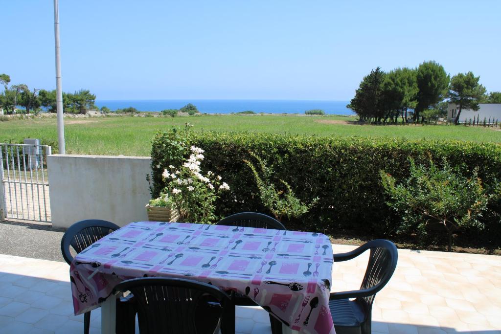 Táj Show holiday homes közelében