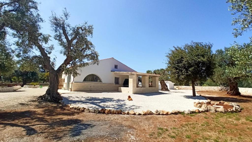 Сад в Italianway - Villa Butticchio