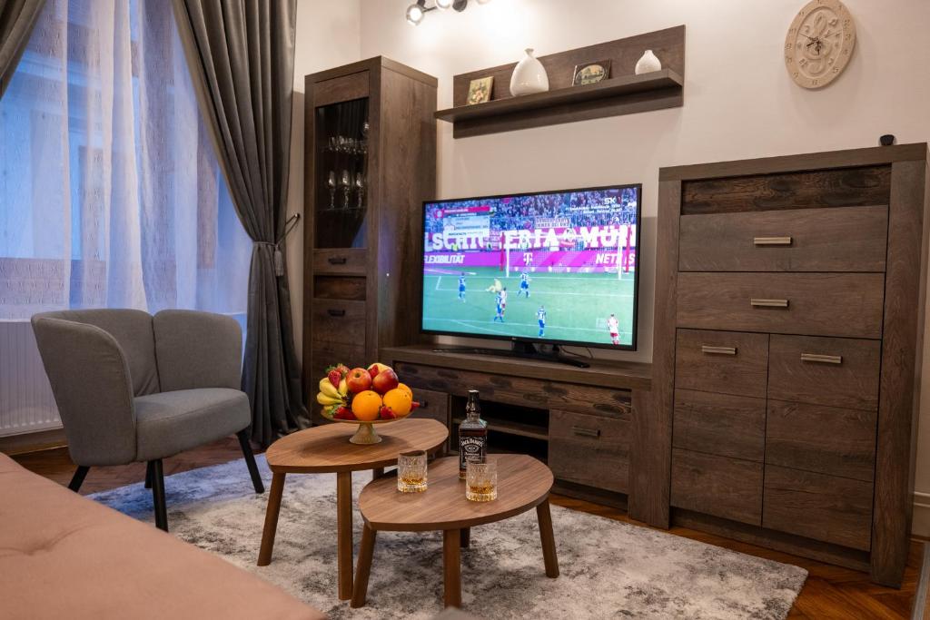 Little Vienna Silver Apartment - 16