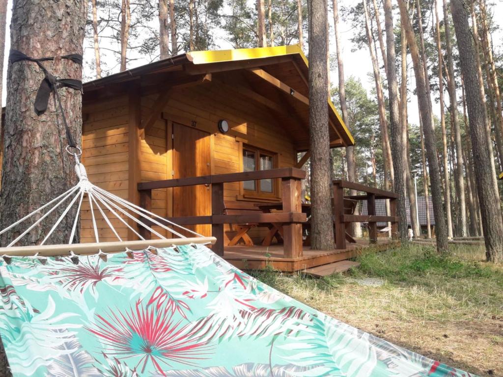 Fotografie z fotogalerie ubytování Zakątek Borsk, Jasnochówka 2, domek 37 v destinaci Borsk