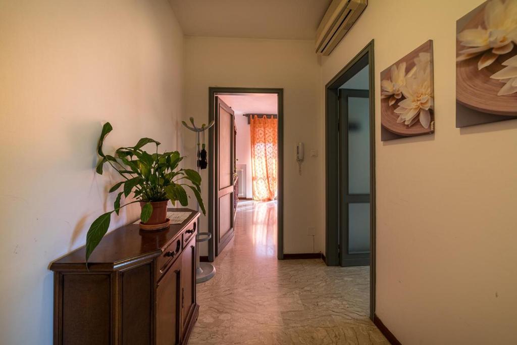 a hallway of a home with a plant on a dresser at Very nice Apartment Padova Centre in Padova