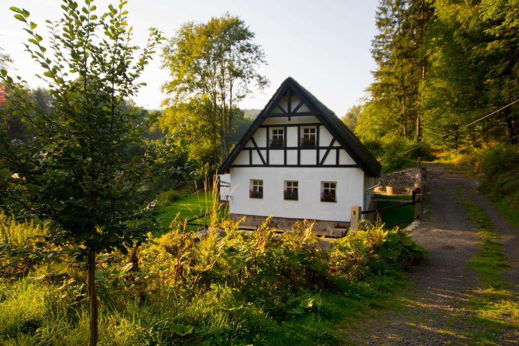 Příroda nedaleko prázdninového domu