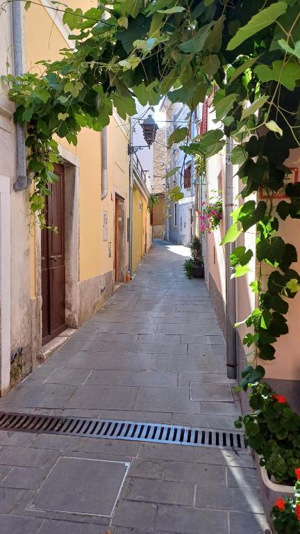 an empty alley way with ivy on the side of a building at TRE SORELLE in Piran