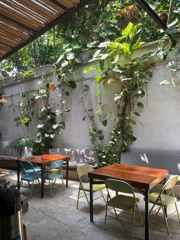 Zahrada ubytování Santuario Getsemani Hostel