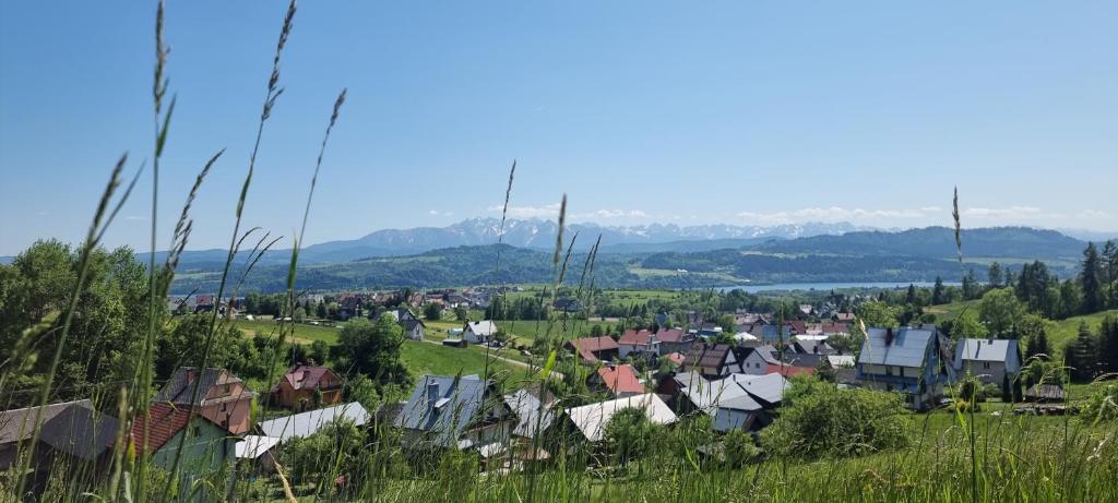 un village sur une colline avec des montagnes en arrière-plan dans l'établissement Mizerna Cicha Noclegi Blisko Natury, à Mizerna