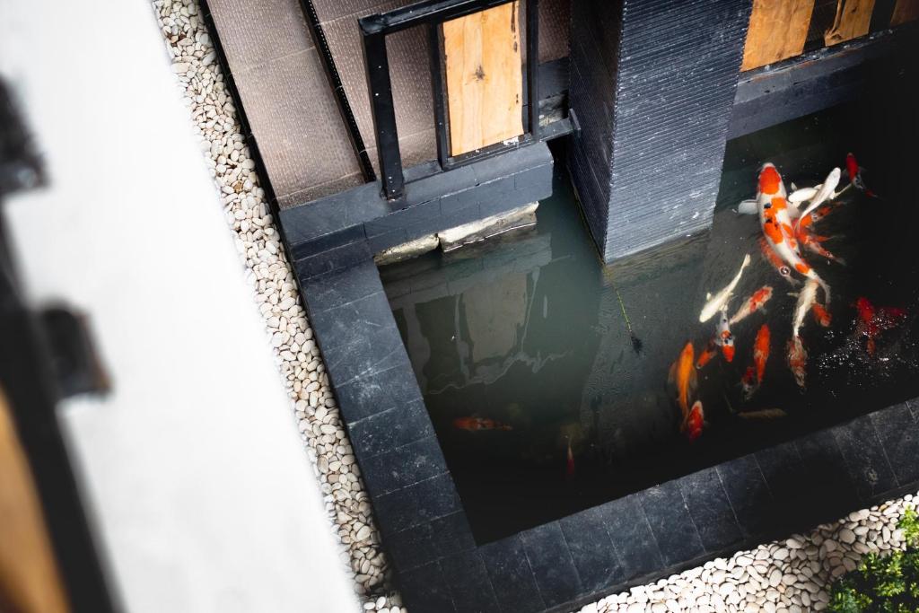 Fotografie z fotogalerie ubytování KAZAIN HOTEL v destinaci Timuran