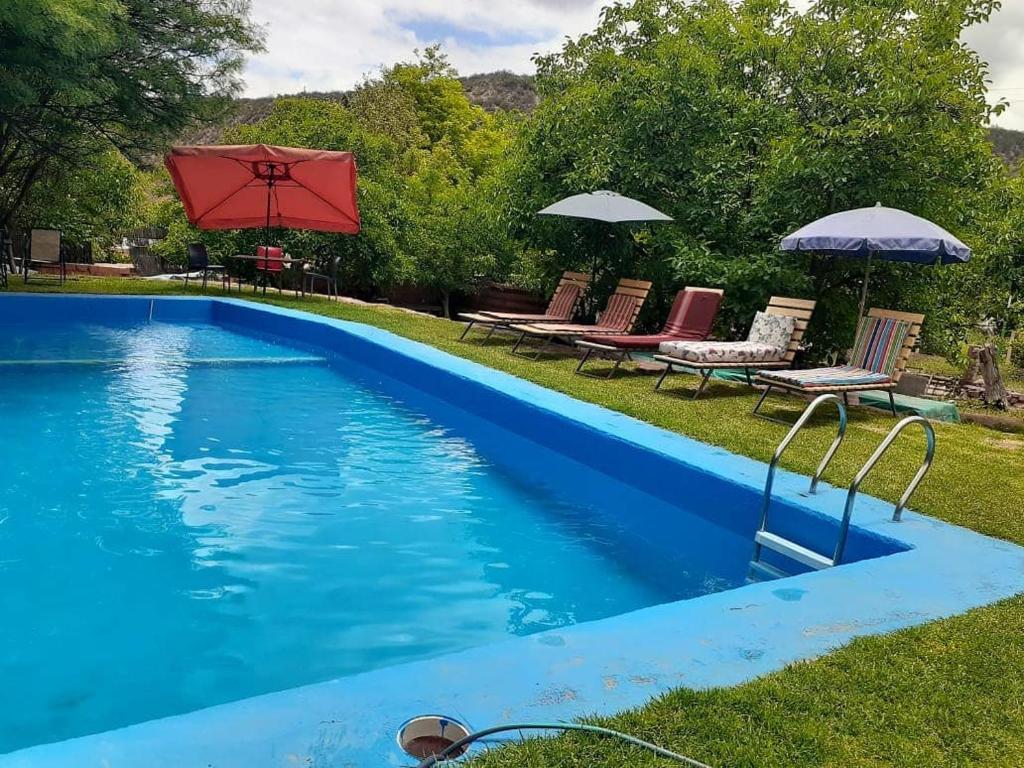 una piscina azul con sillas y sombrillas junto a ella en Hostal La Casa en Aicuña