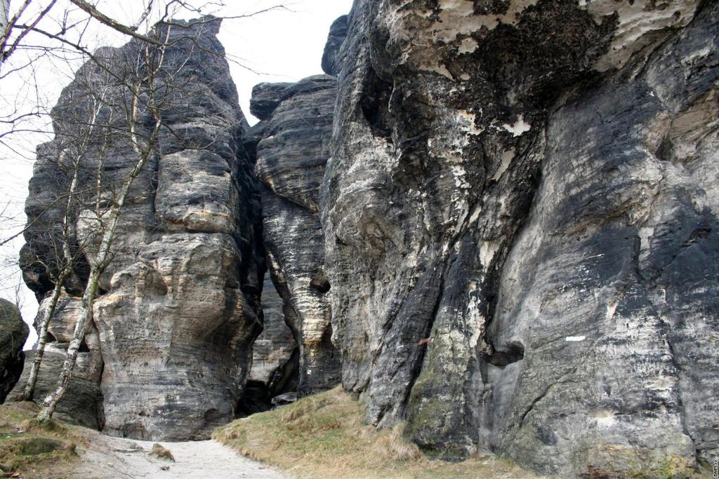 Příroda nedaleko apartmánu
