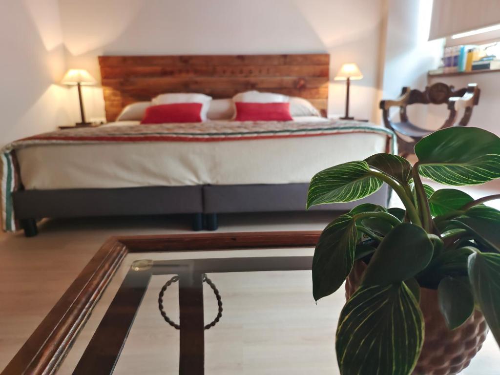 a bedroom with a bed with a plant in the foreground at La Posada de Bayuela in Castillo de Bayuela