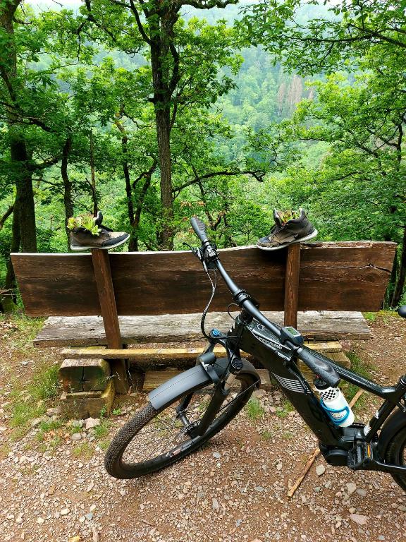 Jízda na kole v ubytování Premium Vulkaneifel Chalet nebo okolí