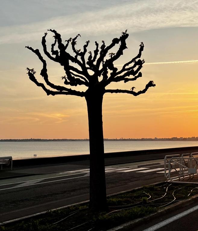 Pla&#x17C;a w domu wakacyjnym lub w pobli&#x17C;u