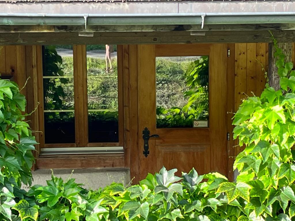 Zahrada ubytování Chalet ALPEN LOTUS