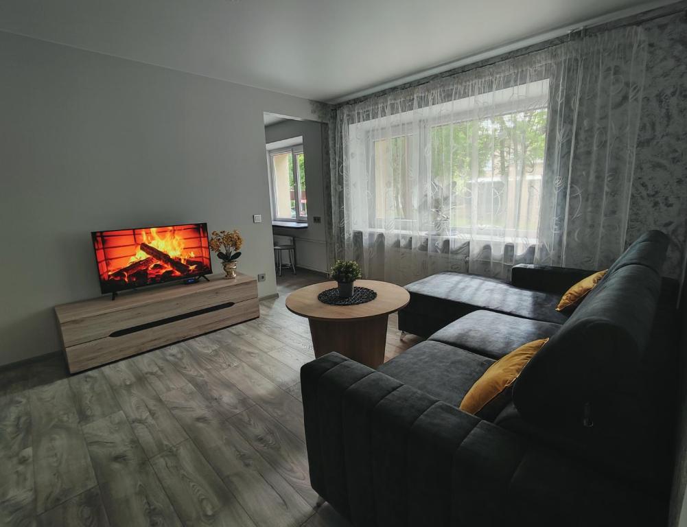 a living room with a couch and a fireplace at Miesto šviesų apartamentai Telšiuose in Telšiai