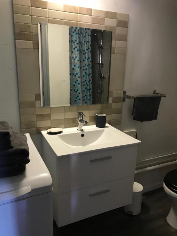 une salle de bain avec un lavabo, des toilettes et un miroir dans l'établissement la festivalière, à Avignon