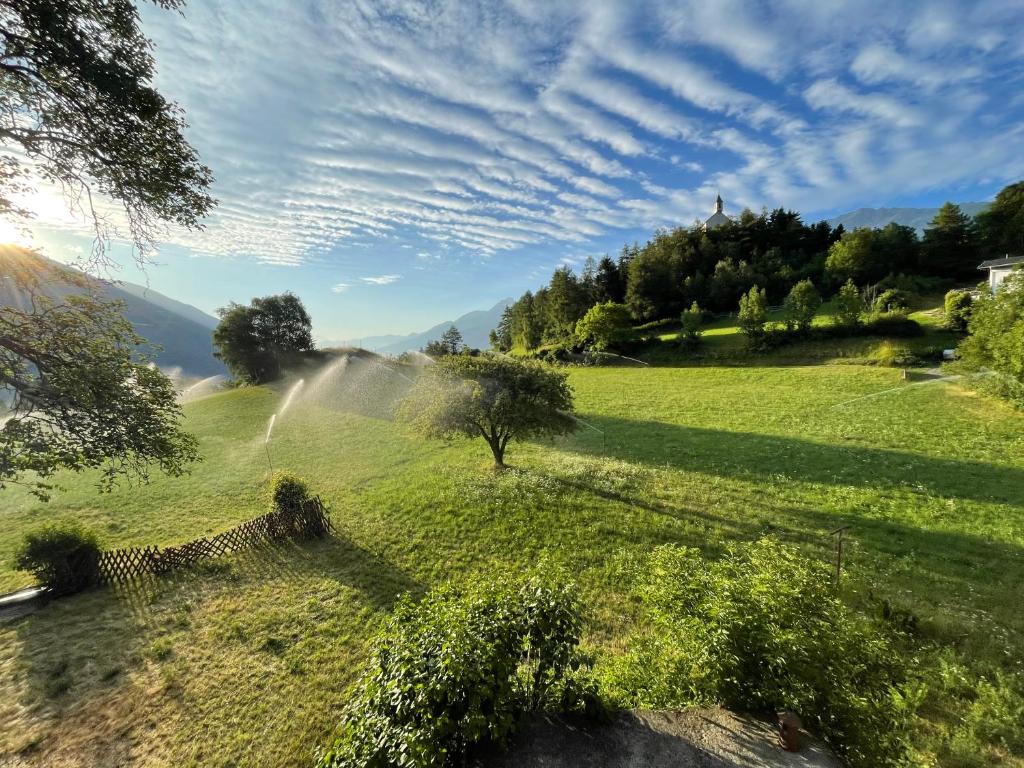 a field of green grass with a tree in it at Plasur - Apartement Bella Vista in Montechiaro