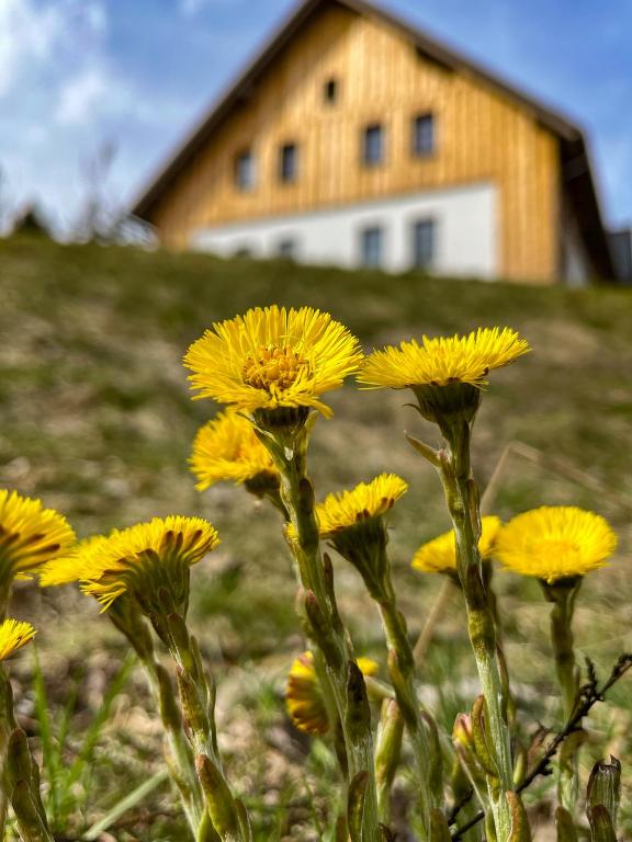 Fotografie z fotogalerie ubytování Pod Špičákem v destinaci Smržovka