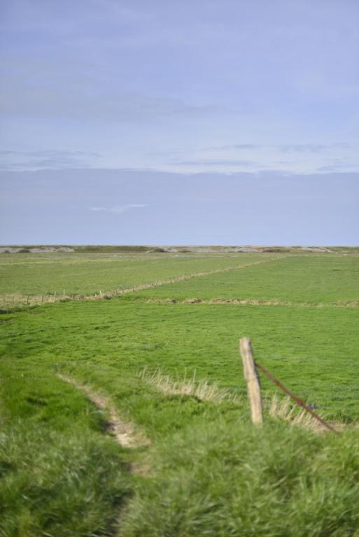 a field of green grass with a fence at Le Cottage de la Baie - vue mer en Baie de Somme in Woignarue