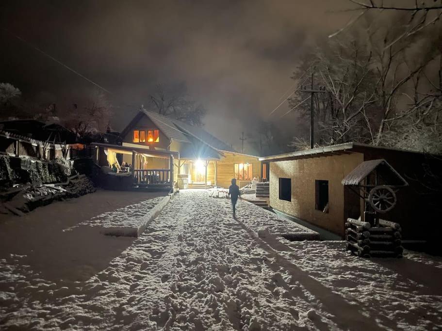 a person walking down a snow covered street at night at Casa bunicilor/ Grandparent’s house in Zăbala