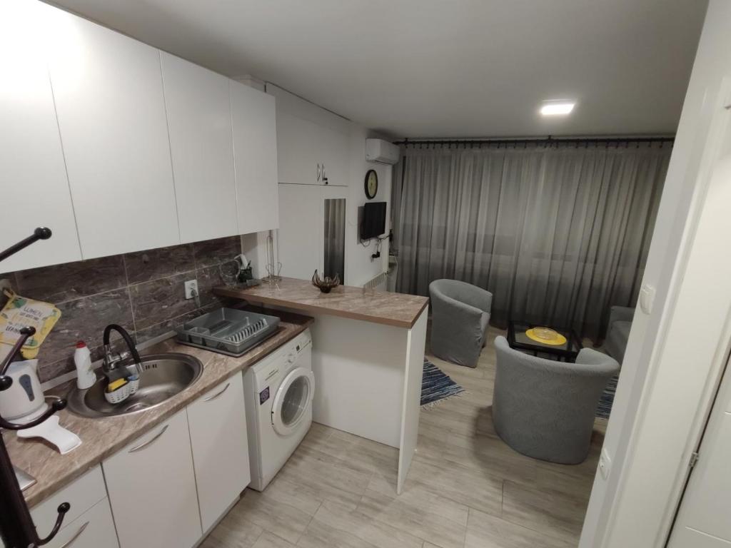 a kitchen with a sink and a washing machine at Apartman Lasta in Banja Luka