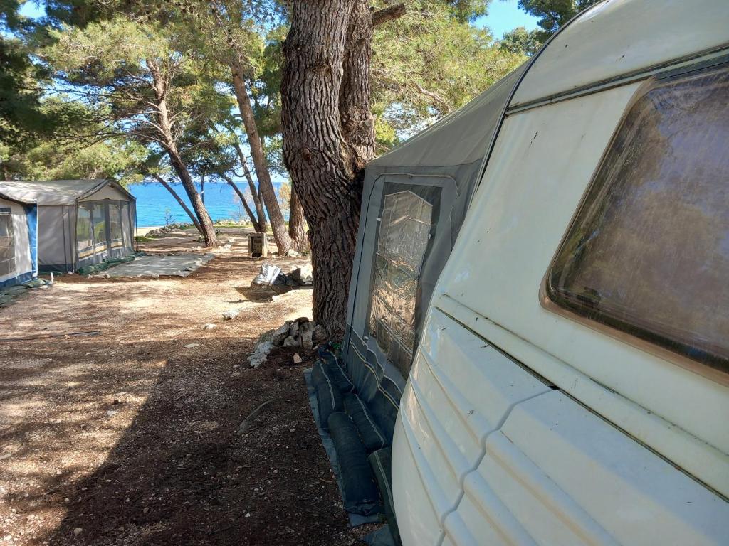 a white truck parked next to a tree at Caravan near the sea 4 in Ugljan