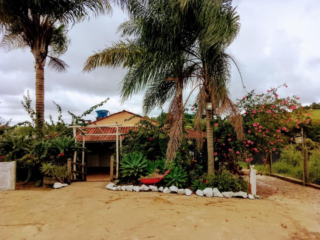 una casa con una palmera y algunas plantas en Chácara a 6km do centro!, en Poços de Caldas
