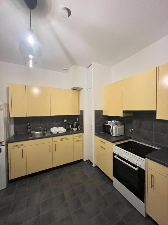 Kuchyň nebo kuchyňský kout v ubytování Chambre au coeur de Genève