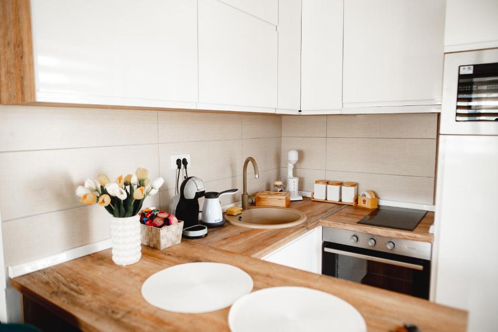 Kuchyň nebo kuchyňský kout v ubytování Apartman VELUK