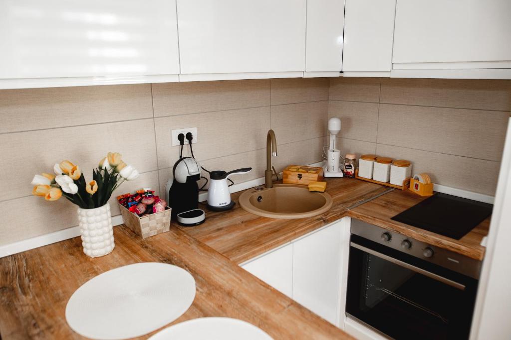Kuchyň nebo kuchyňský kout v ubytování Apartman VELUK