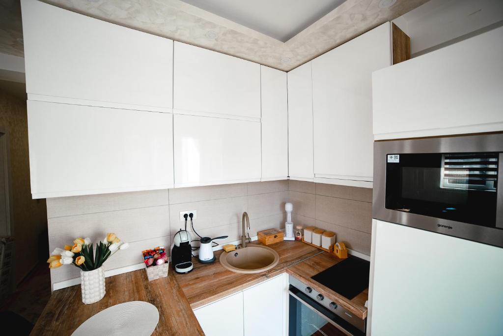 Kuchyň nebo kuchyňský kout v ubytování Apartman VELUK