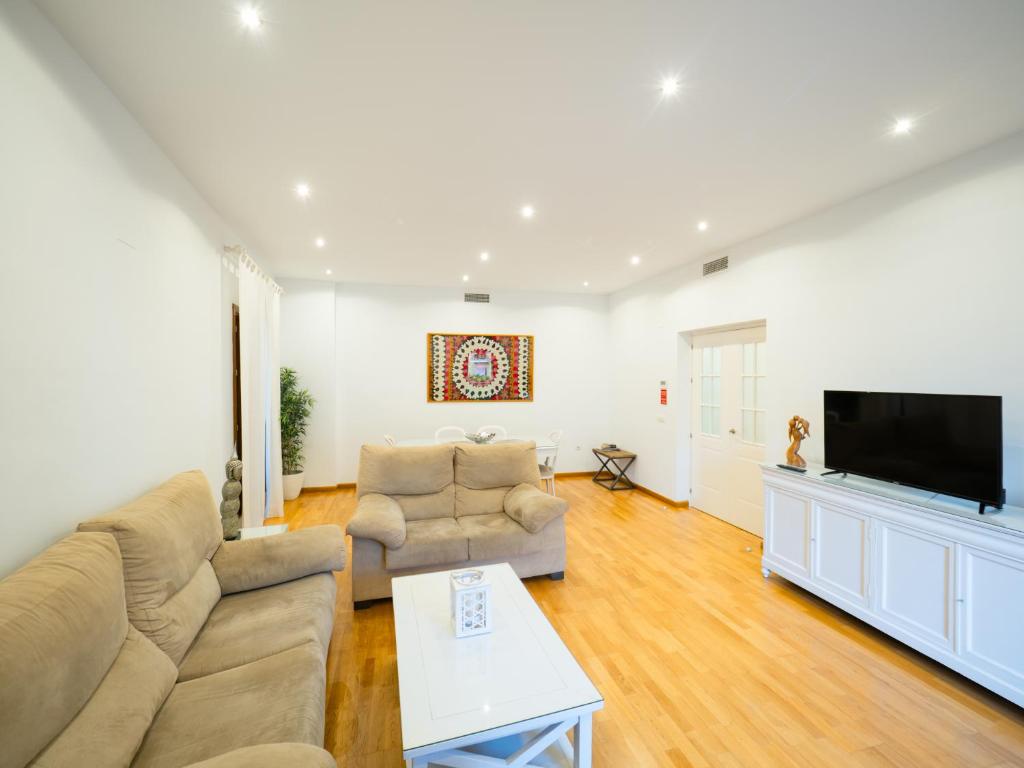 sala de estar con sofá y TV de pantalla plana en Amplio Apto Centro vistas Torneria fjHomefj en Jerez de la Frontera