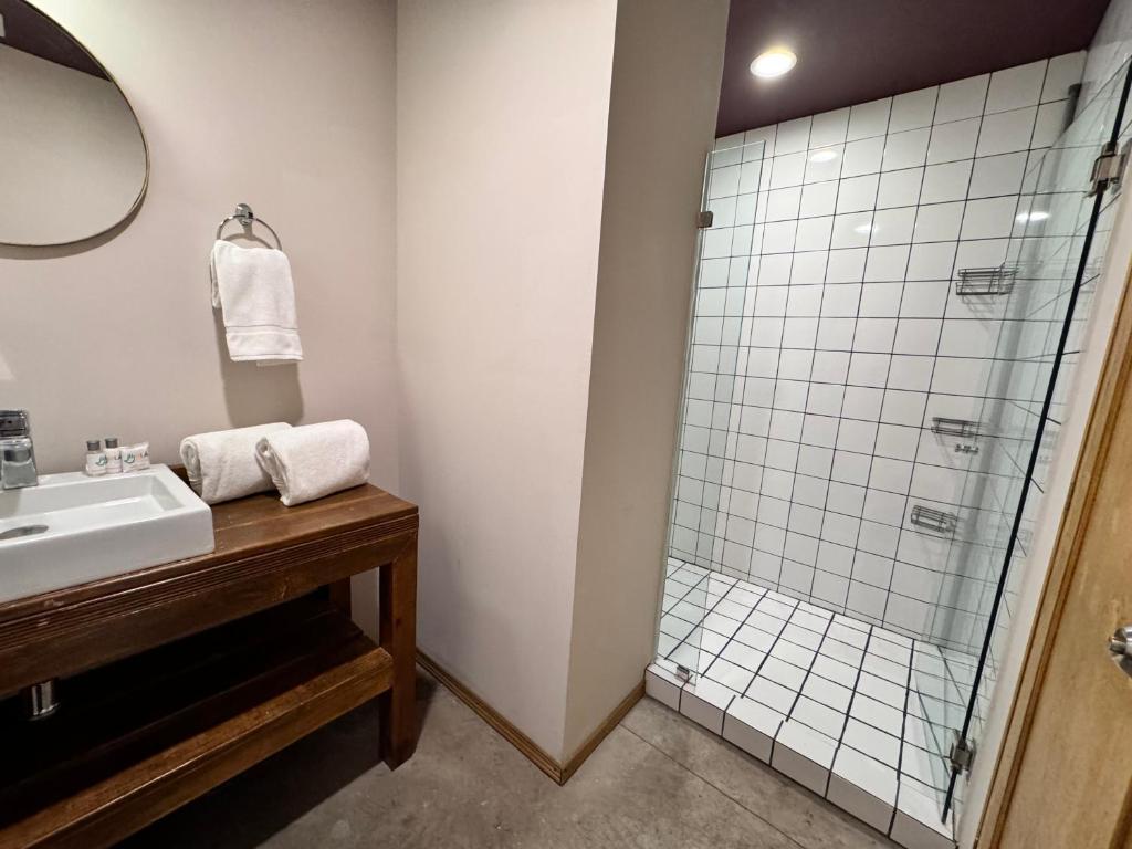 Koupelna v ubytování Hotel Olá Chapultepec