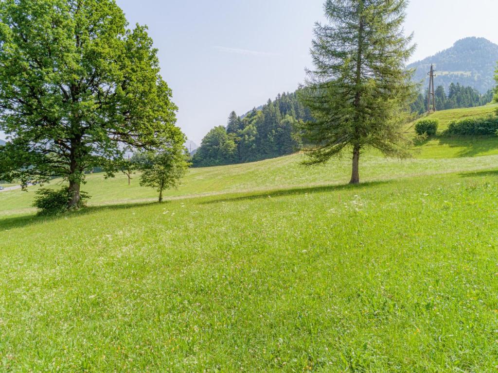 Príroda v okolí apartmánu