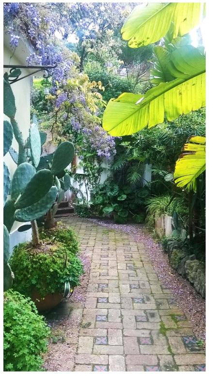 Zahrada ubytování B&B La Salamandra Kitchengarden