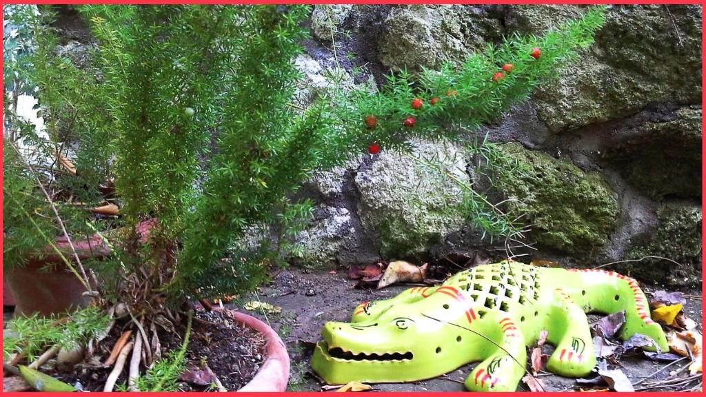 Zahrada ubytování B&B La Salamandra Kitchengarden