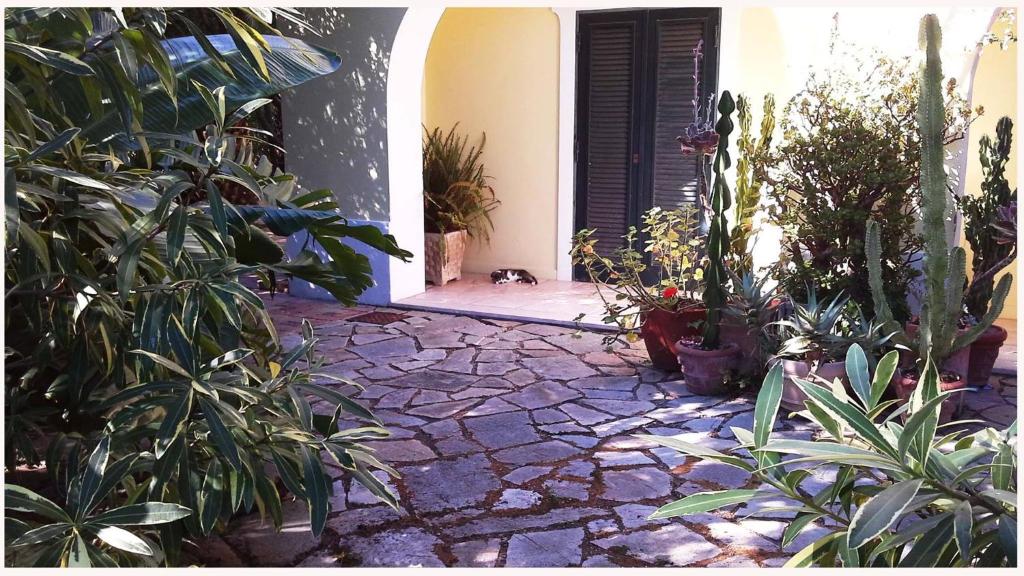 Zahrada ubytování B&B La Salamandra Kitchengarden