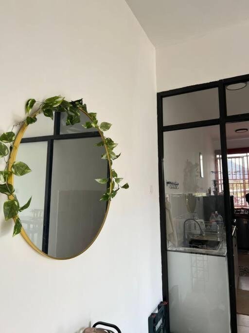 Kuchyň nebo kuchyňský kout v ubytování SJ Home