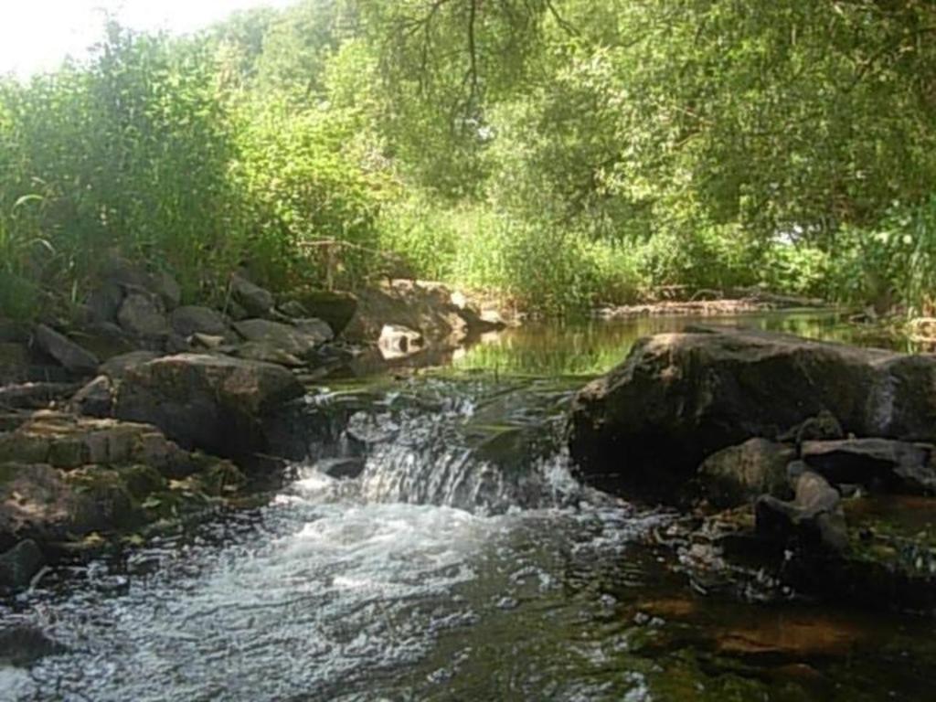 ein Wasserlauf mit Felsen und Bäumen in der Unterkunft Ferienwohnung für sechs Personen - b56987 in Medebach