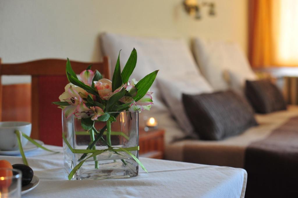 Apartman Hotel - Studio Apartment With Balcony