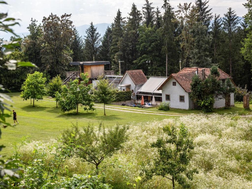 una casa en medio de un campo con árboles en Gut Hornegg am Spiegelsee - Good Luise en Preding