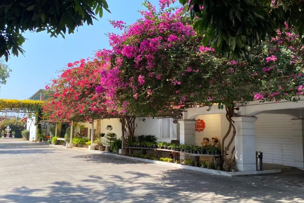 Delio Boutique Hotel - Resim 4