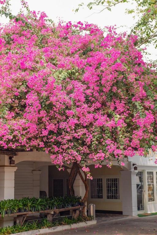 Delio Boutique Hotel - Resim 6