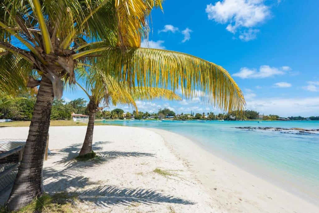 plaża z dwoma palmami i oceanem w obiekcie Quaint Beach Villa in a fishing village w mieście Grand Gaube