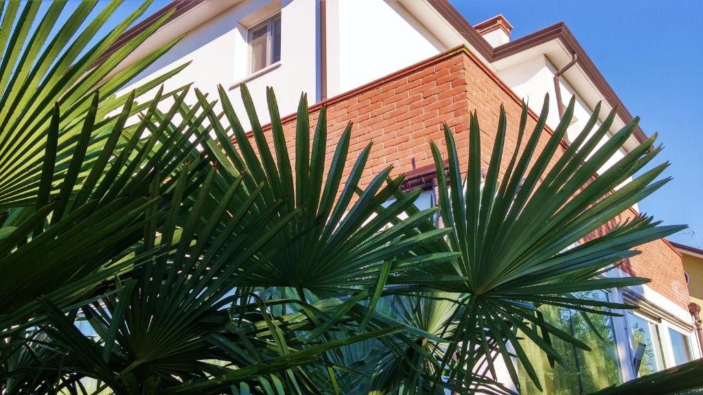 a group of palm trees in front of a building at Dream in Favaro Veneto