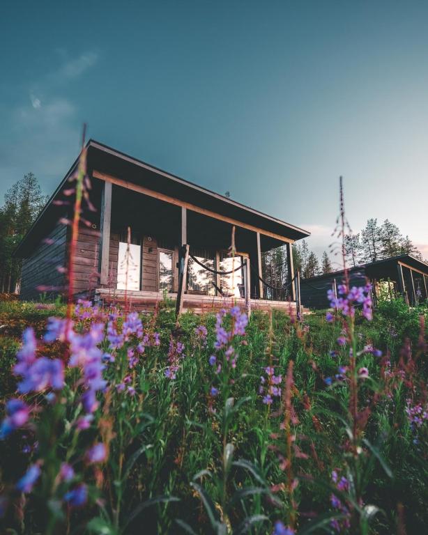 Zahrada ubytování Arctic TreeHouse Hotel