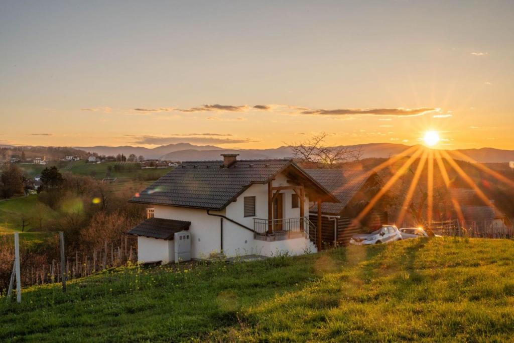a house on a hill with the sunset in the background at Vineyard Cottage Mayolka - Happy Rentals in Novo Mesto